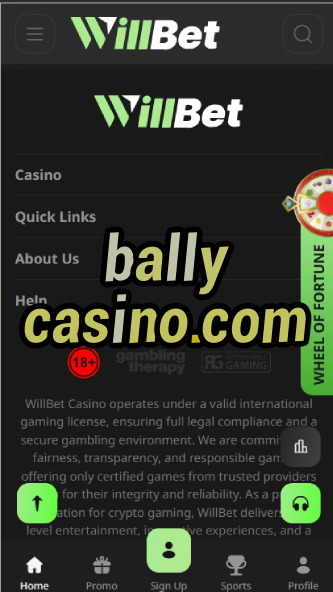 Bally Casino.com - Official Bally Website-casinoorder.vip